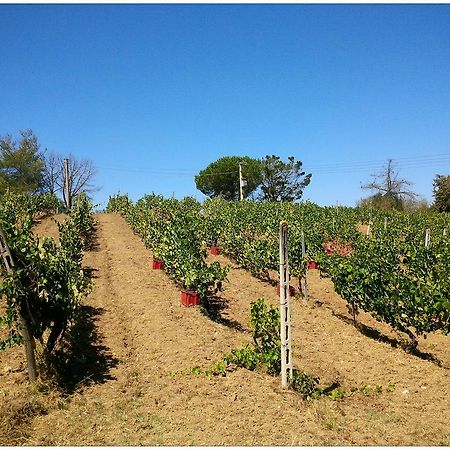 מונטיאנו Agriturismo San Giusto מראה חיצוני תמונה