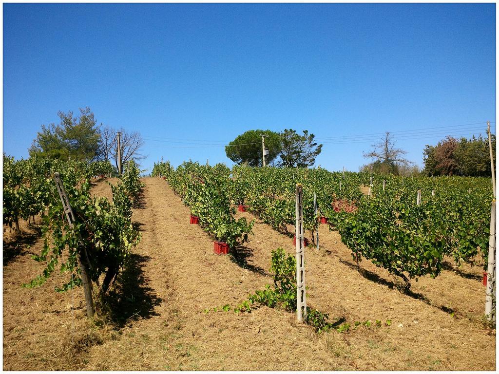 מונטיאנו Agriturismo San Giusto מראה חיצוני תמונה