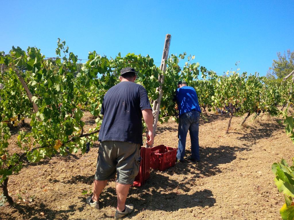 מונטיאנו Agriturismo San Giusto מראה חיצוני תמונה